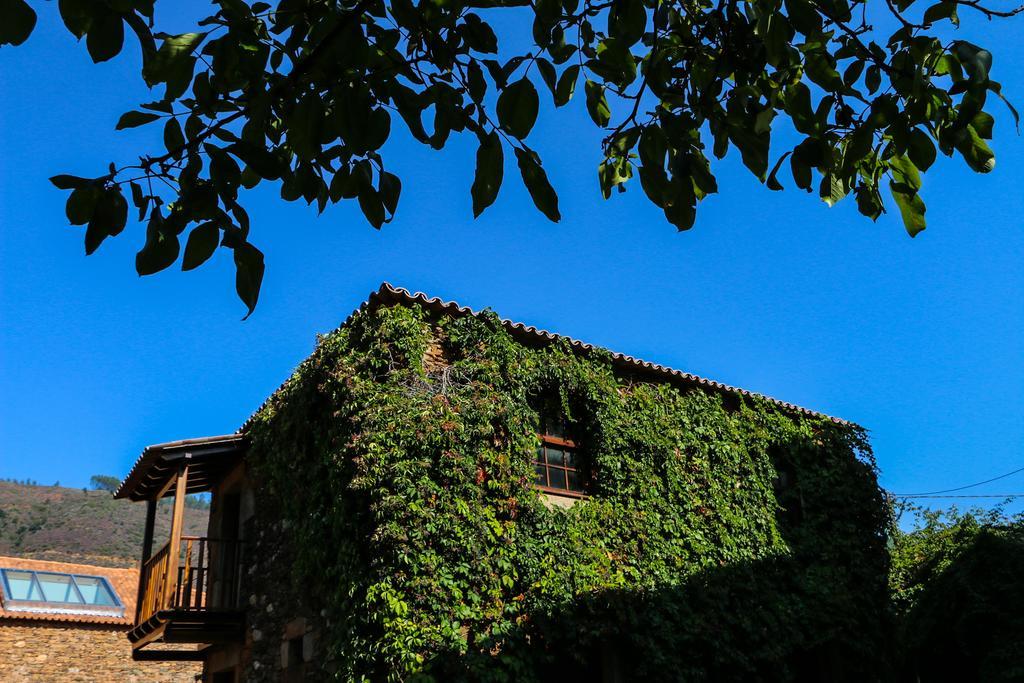 Casa De Baixo - Nature Hotel Alvoco das Várzeas Cameră foto