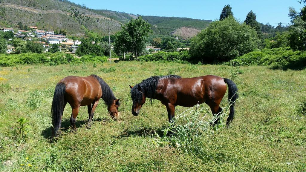 Casa De Baixo - Nature Hotel Alvoco das Várzeas Cameră foto